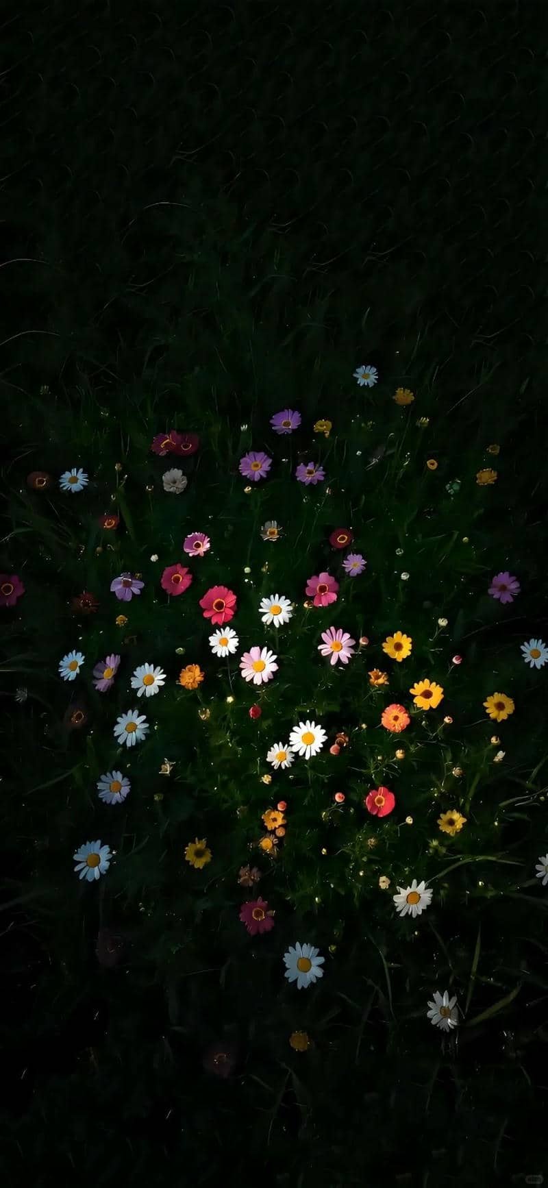 hình nền màu đen (18)