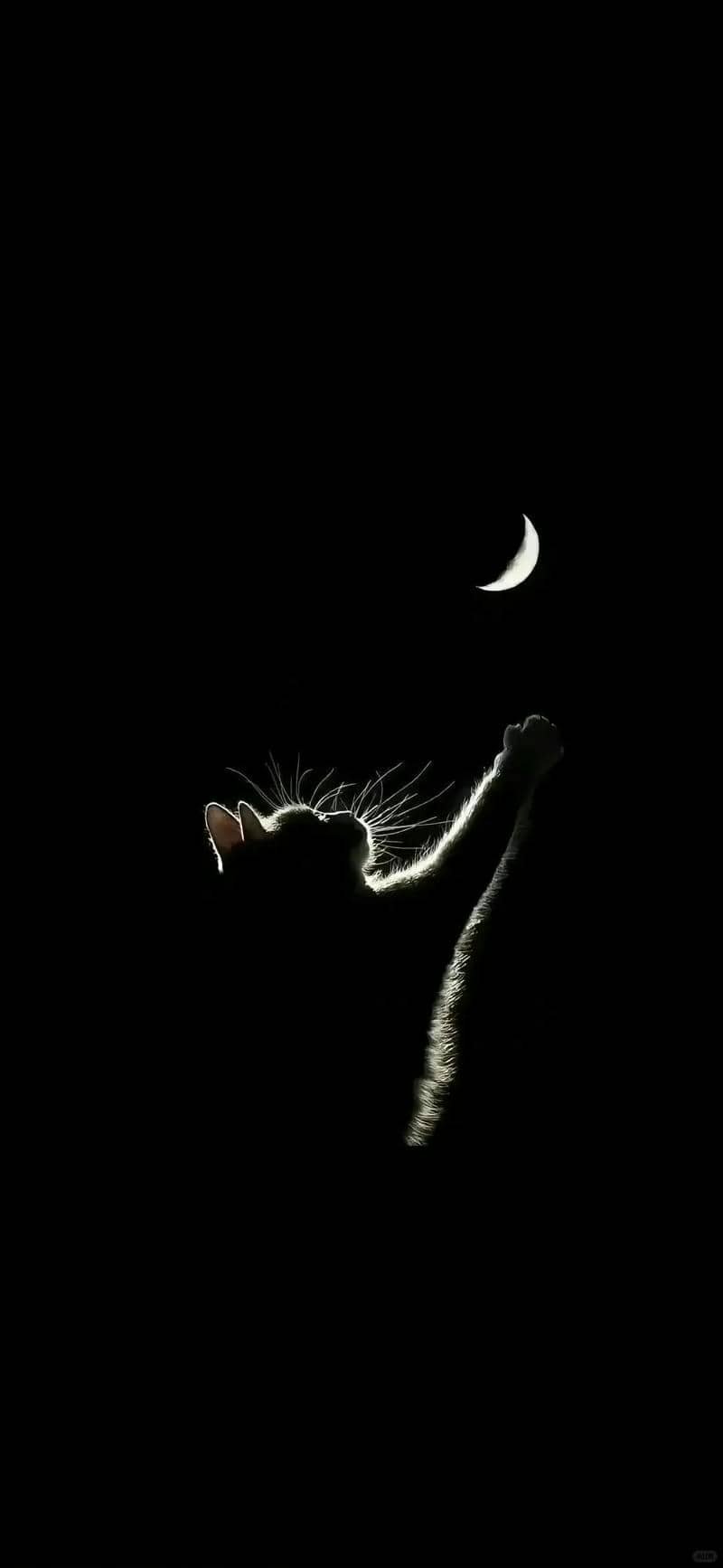 hình nền màu đen (3)