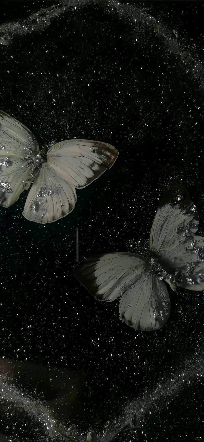 hình nền màu đen (36)