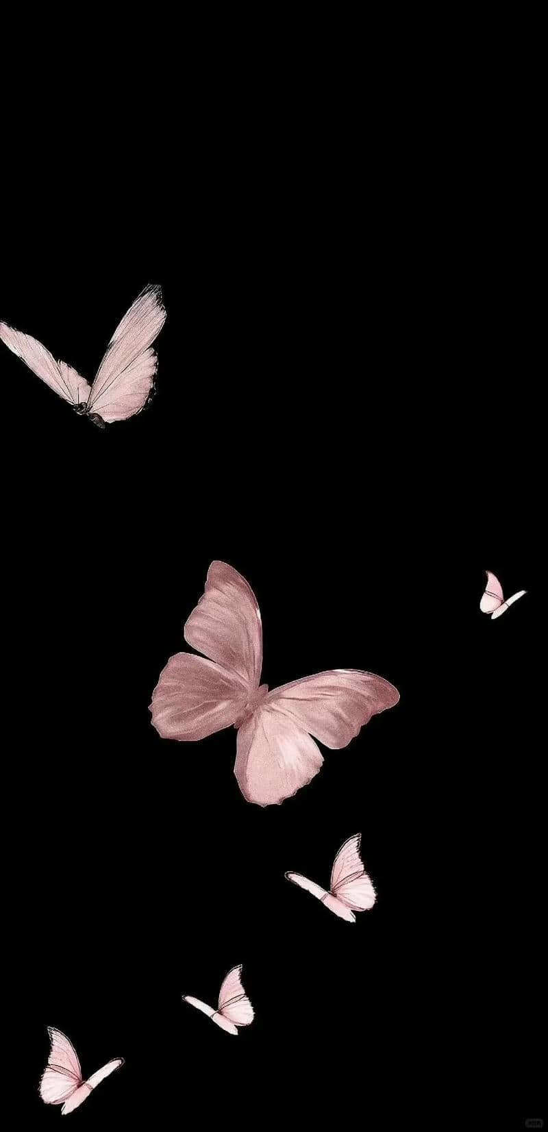 hình nền màu đen (5)