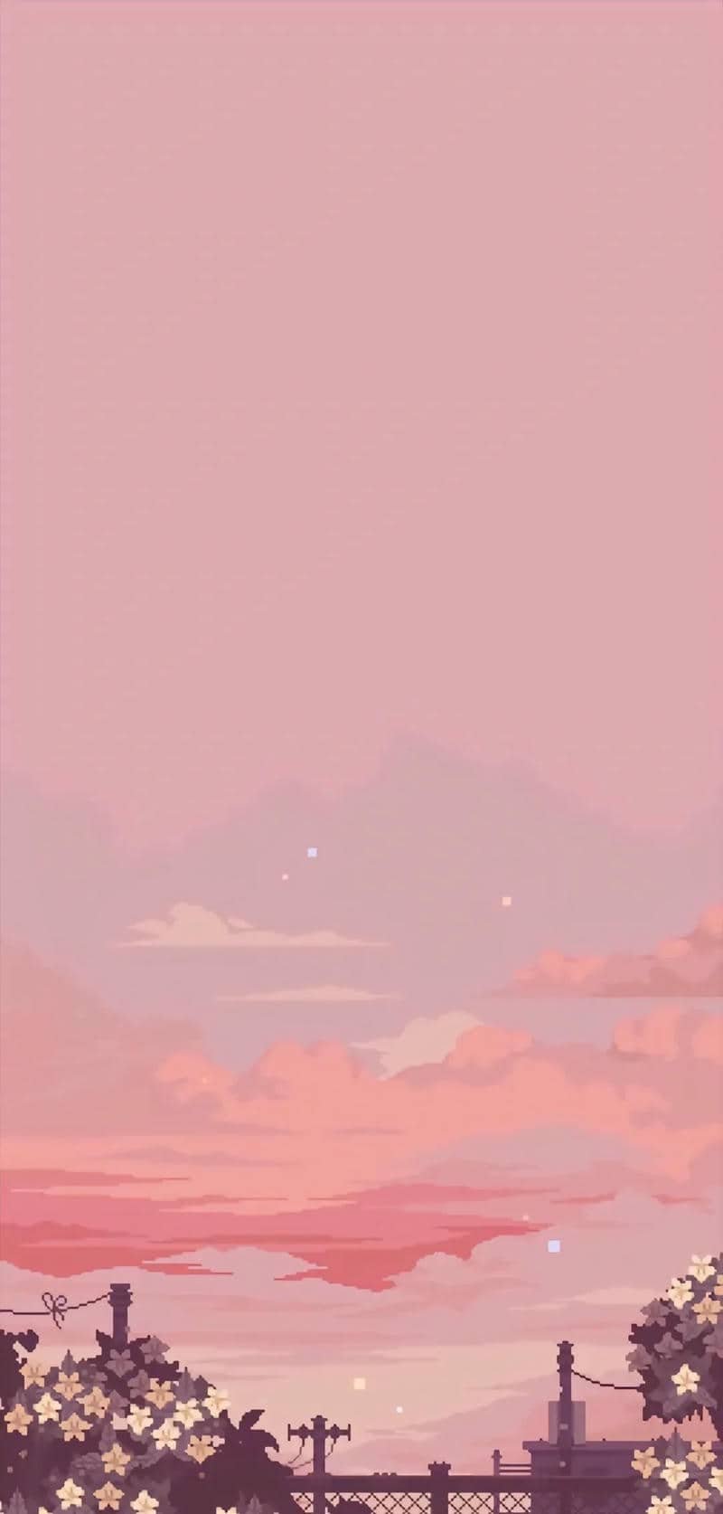 hình nền màu hồng (27)