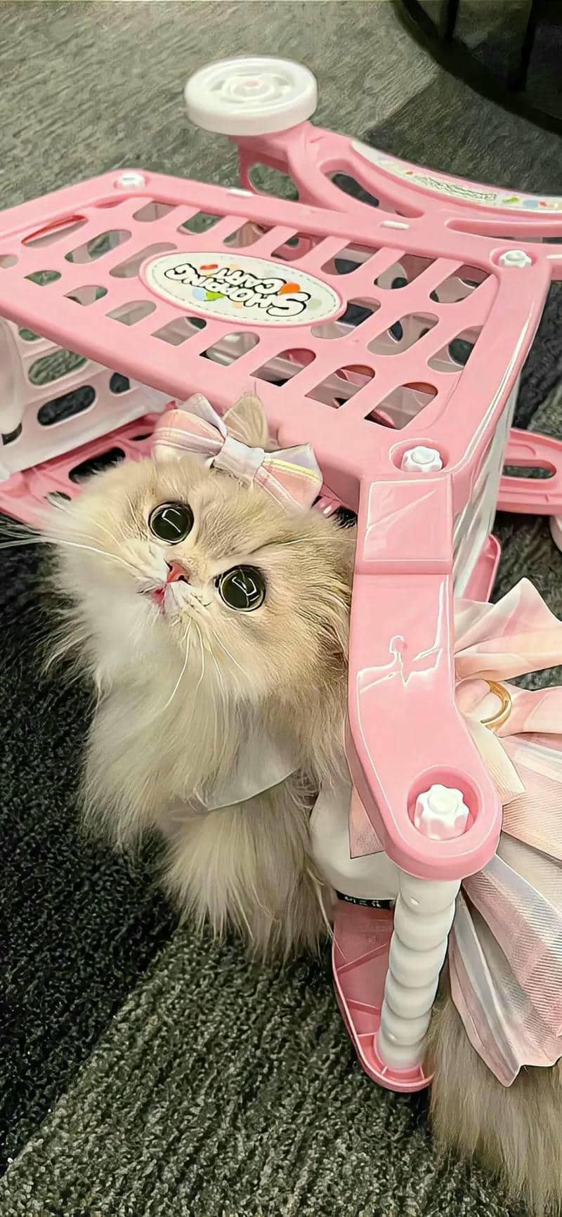 hình nền màu hồng (6)