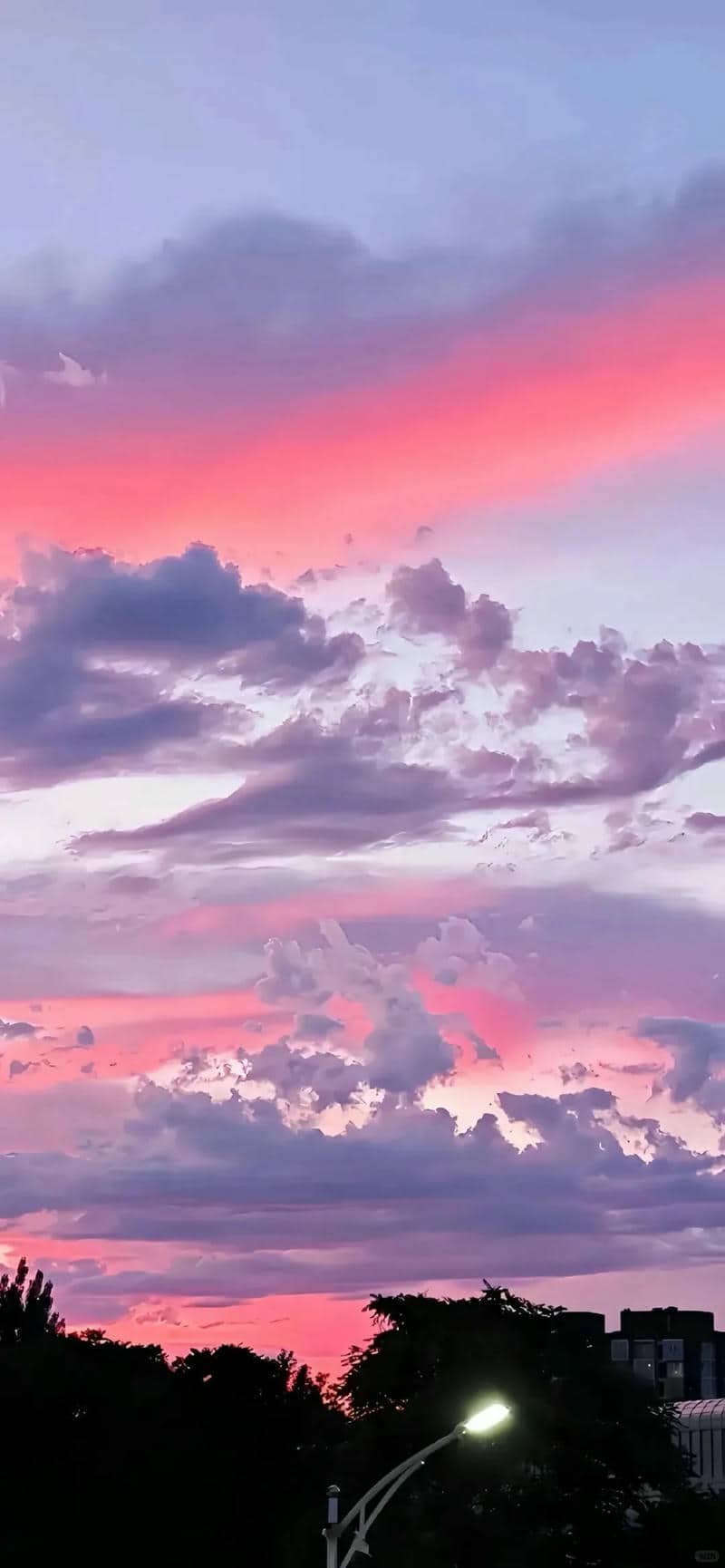 hình nền màu tím (12)