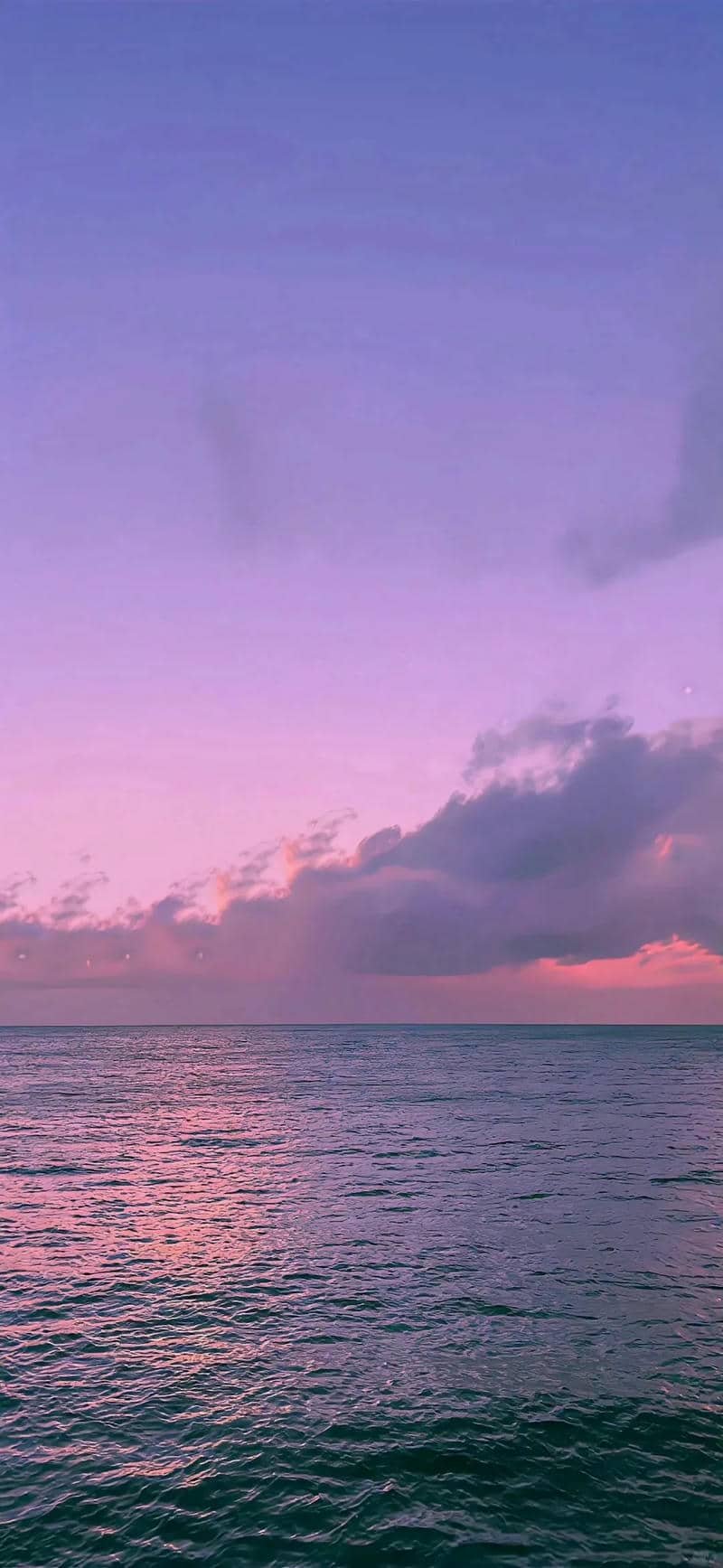 hình nền màu tím (13)