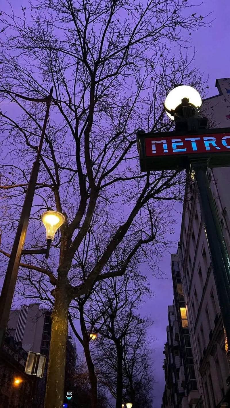 hình nền màu tím (19)