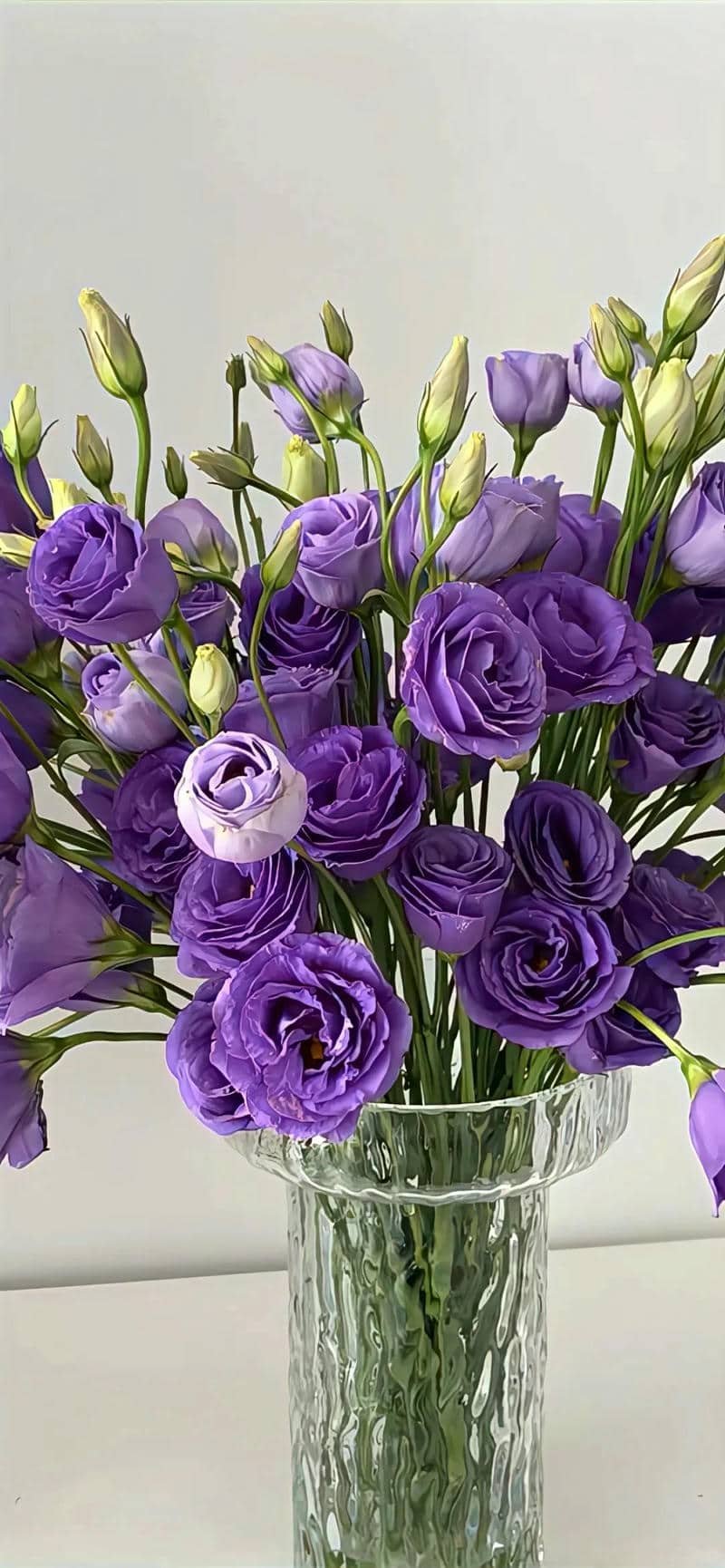 hình nền màu tím (23)