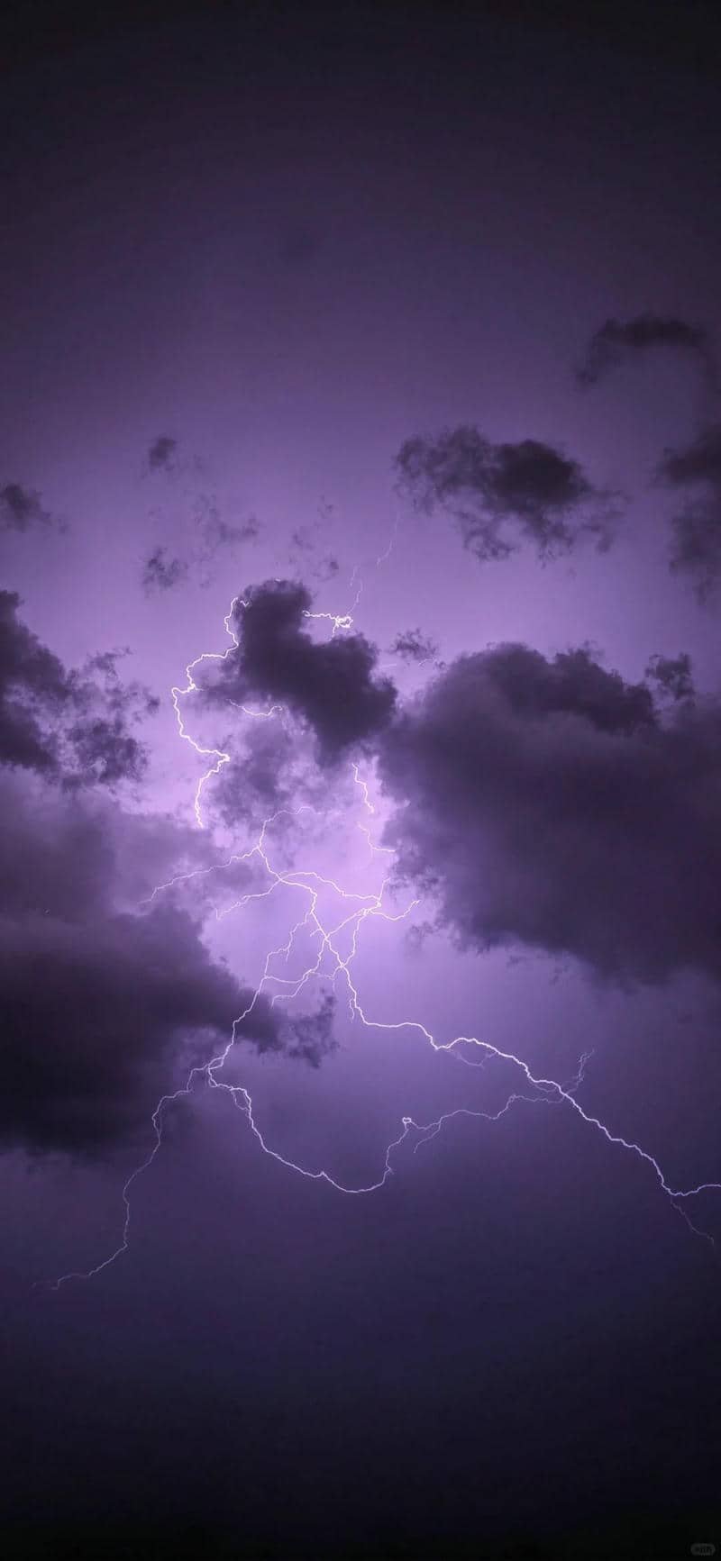 hình nền màu tím (6)