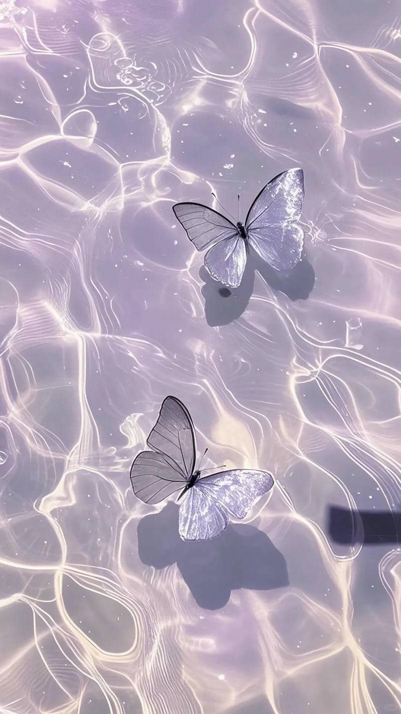 hình nền màu tím (7)