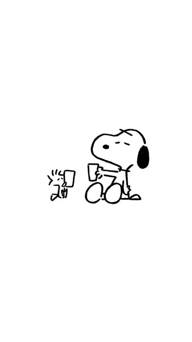 hình nền màu trắng (13)