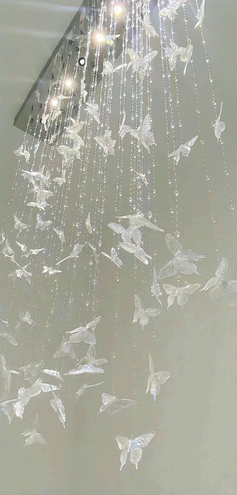 hình nền màu trắng (9)