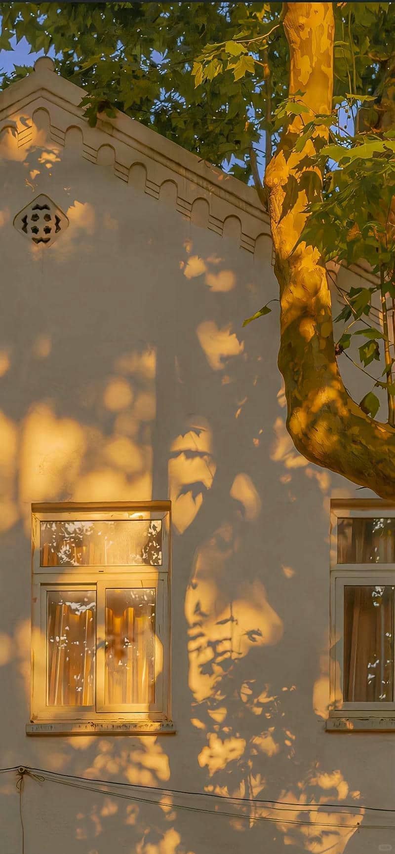 hình nền màu vàng (11)