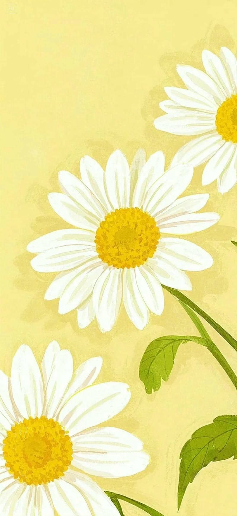 hình nền màu vàng (15)