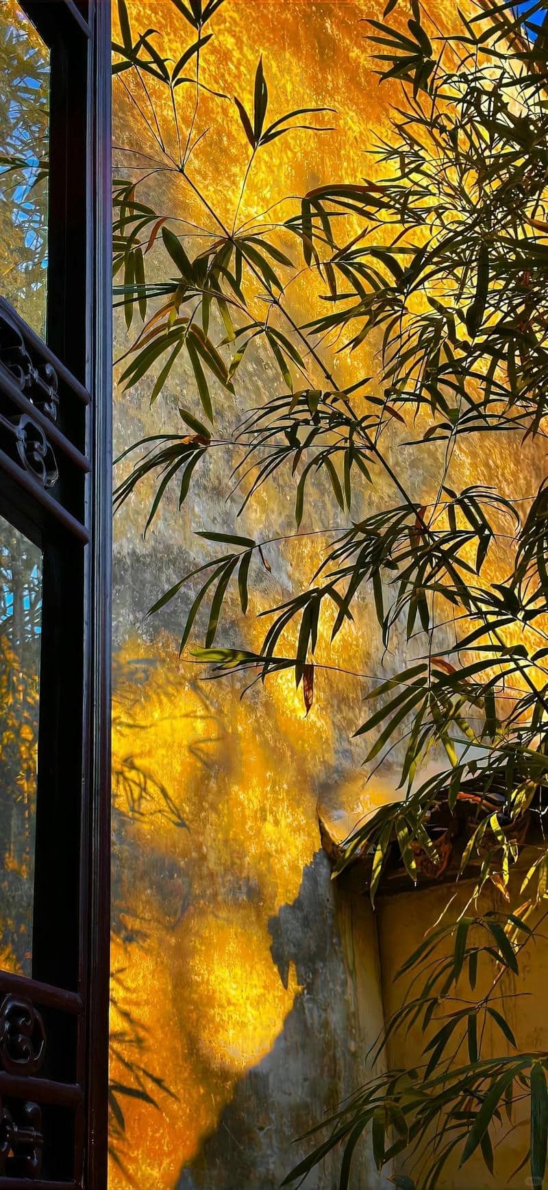 hình nền màu vàng (2)