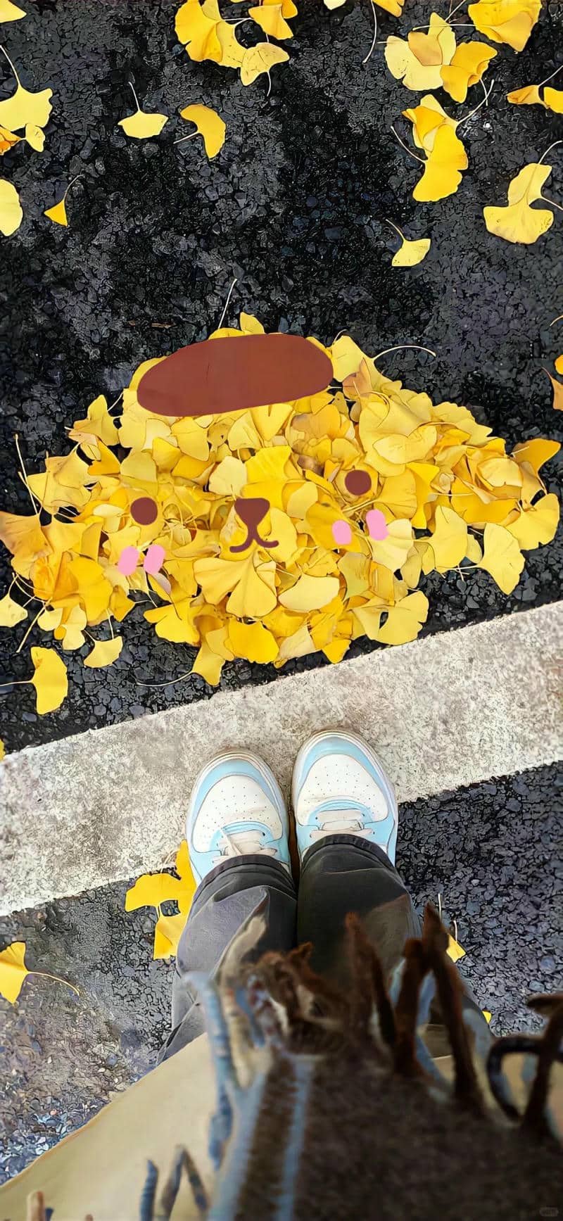 hình nền màu vàng (4)