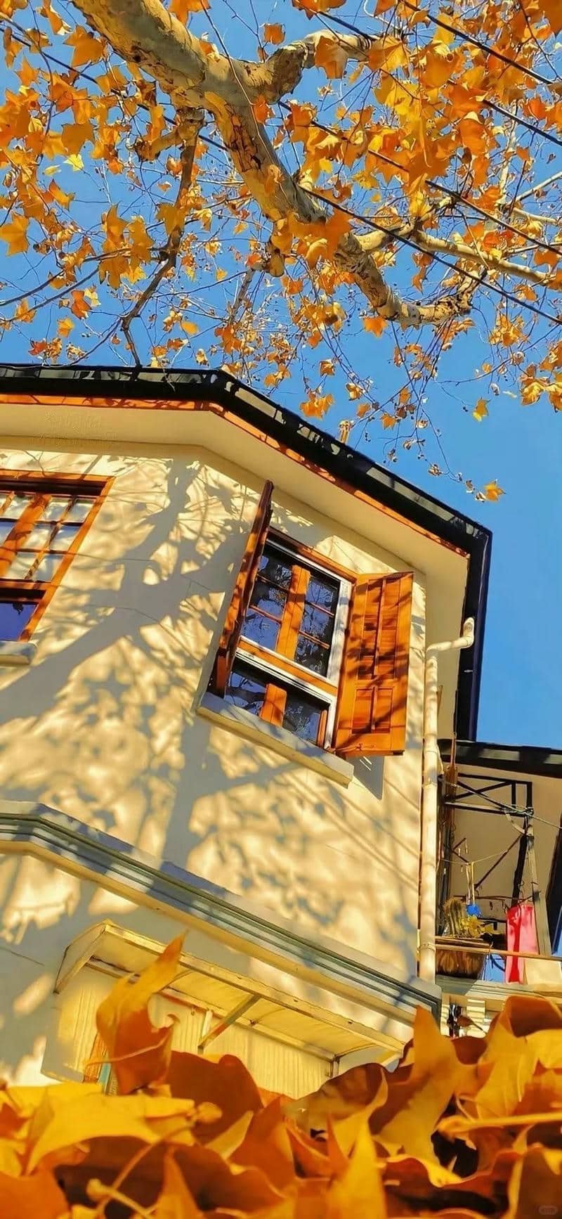 hình nền màu vàng (5)