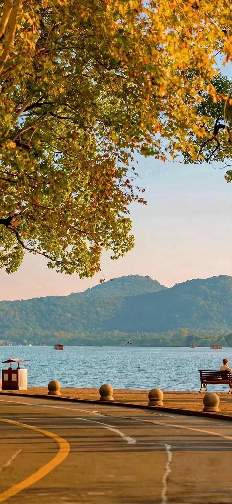 hình nền màu vàng (7)