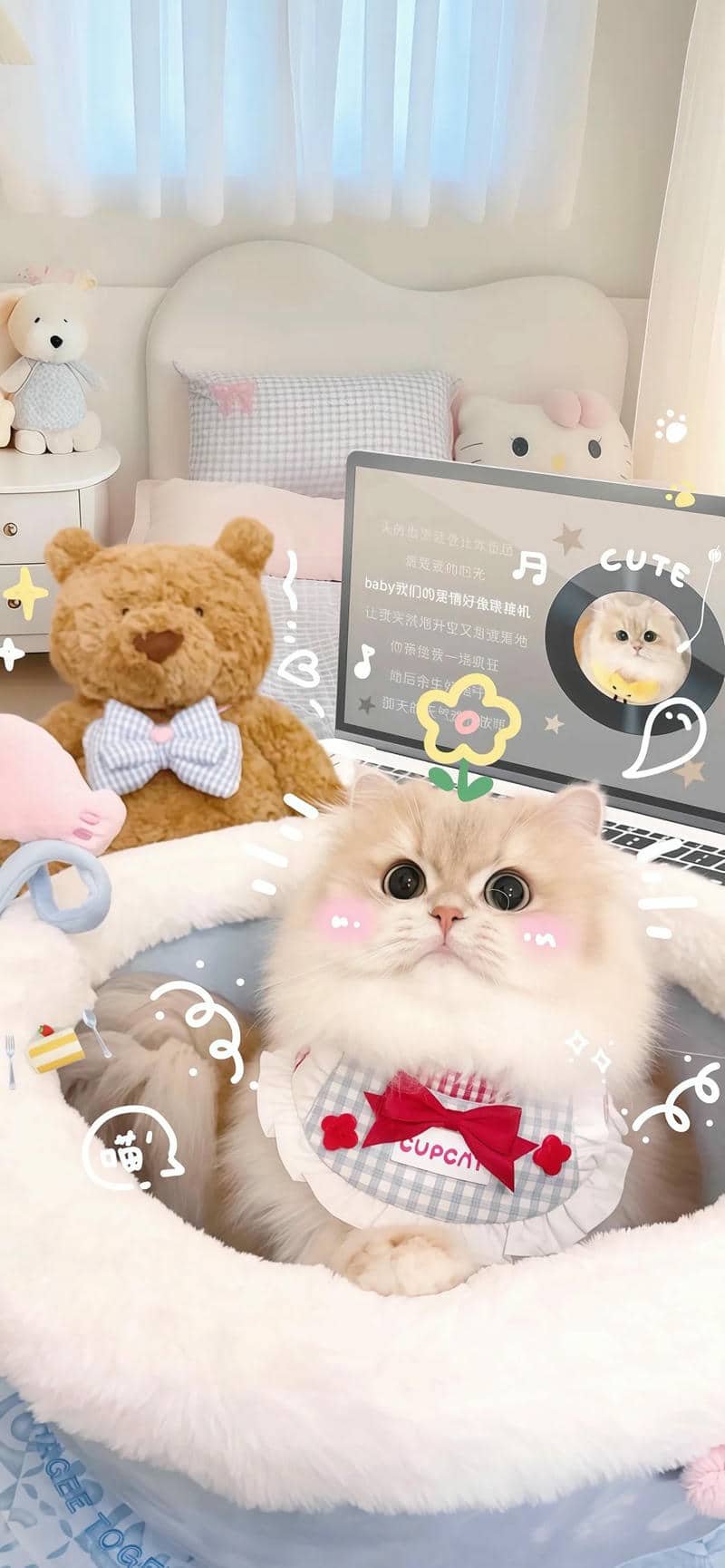 hình nền mèo (16)