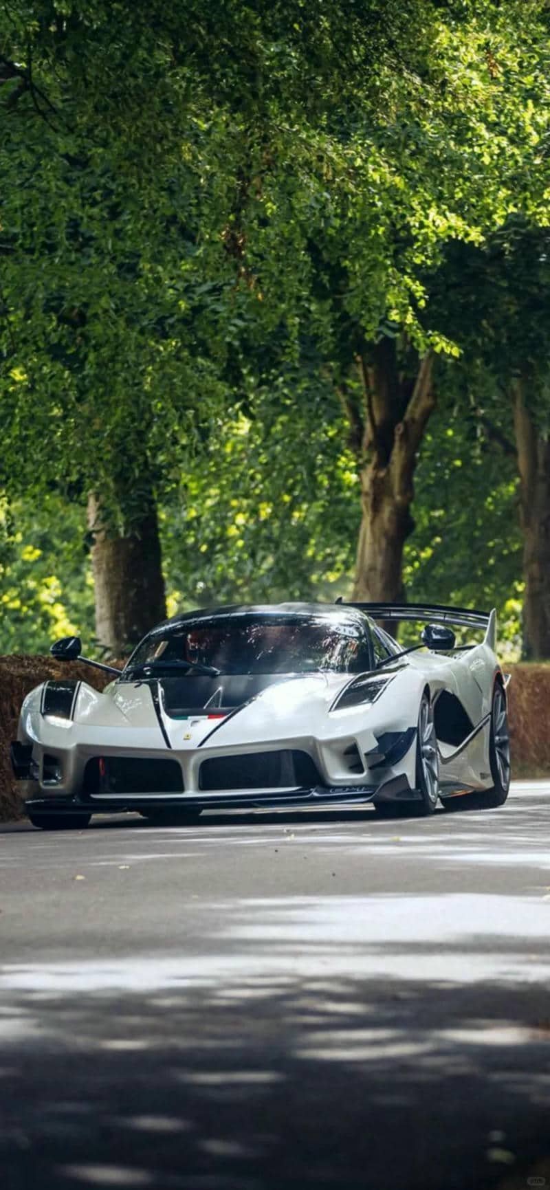 hình nền siêu xe (22)