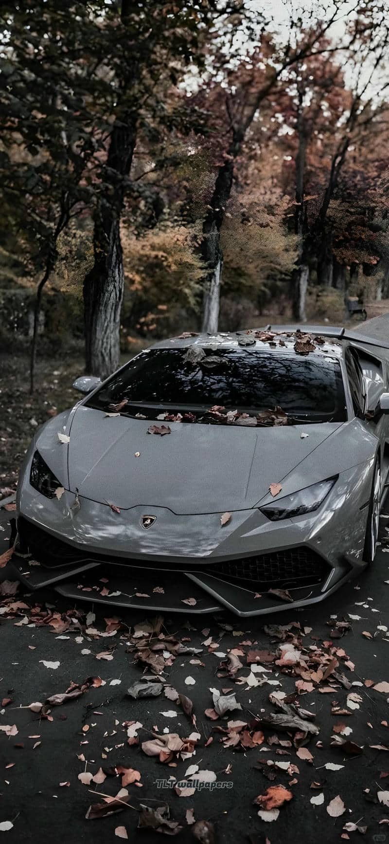 hình nền siêu xe (24)