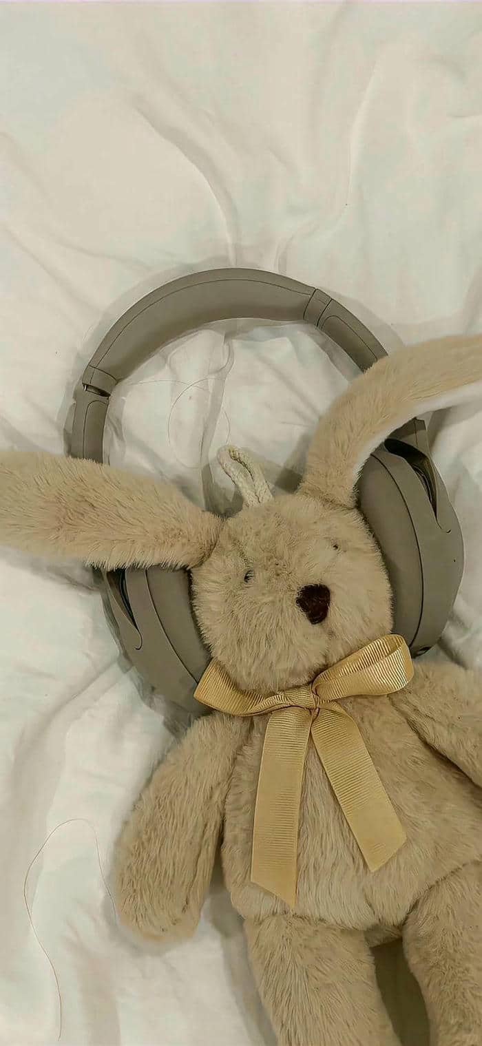 hình nền thỏ (17)