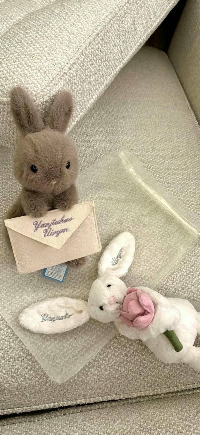 hình nền thỏ (2)