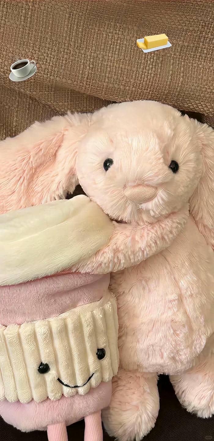 hình nền thỏ (22)