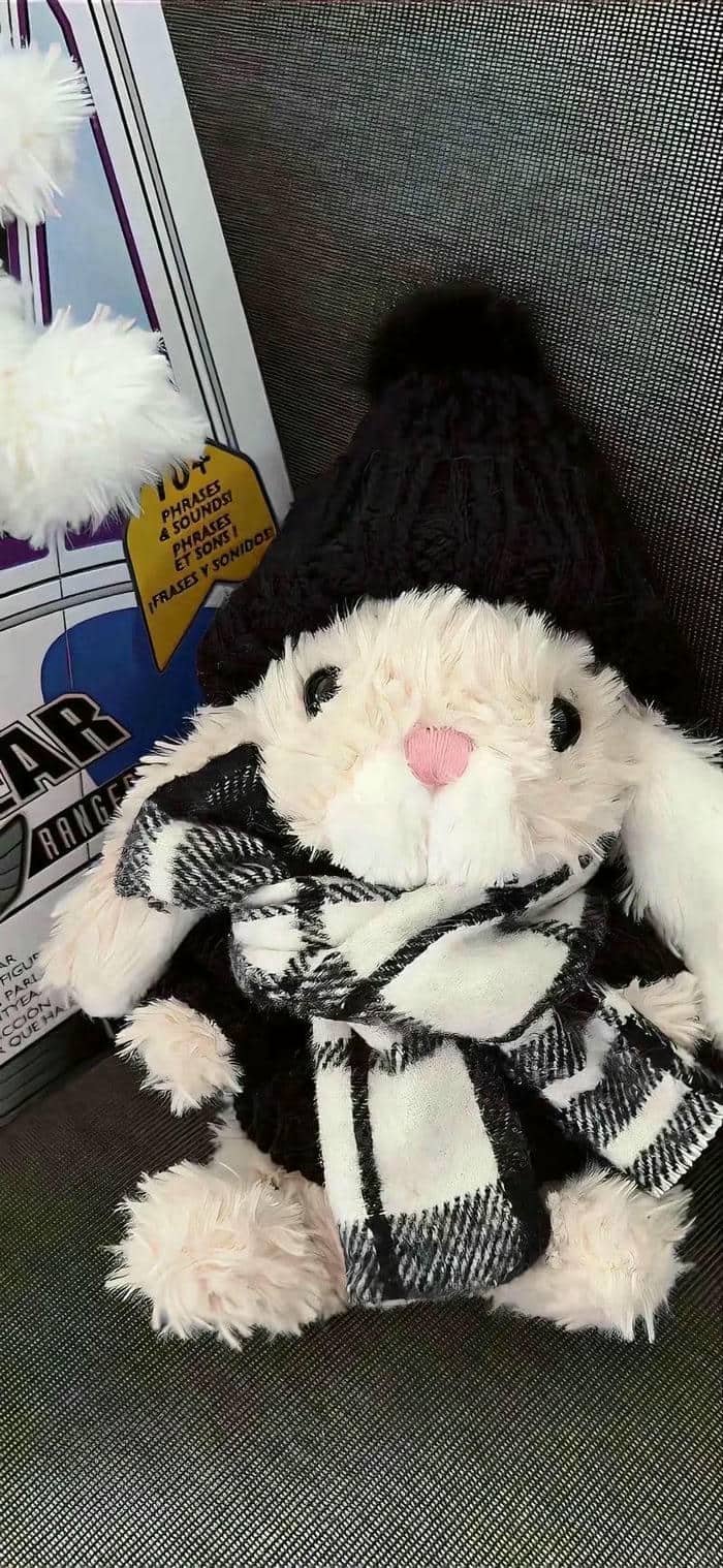 hình nền thỏ (27)