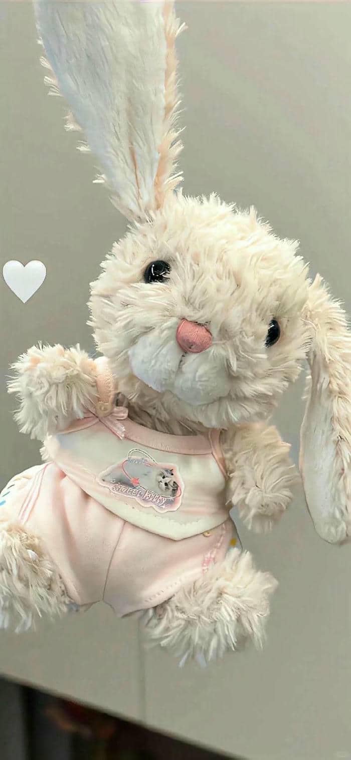 hình nền thỏ (3)