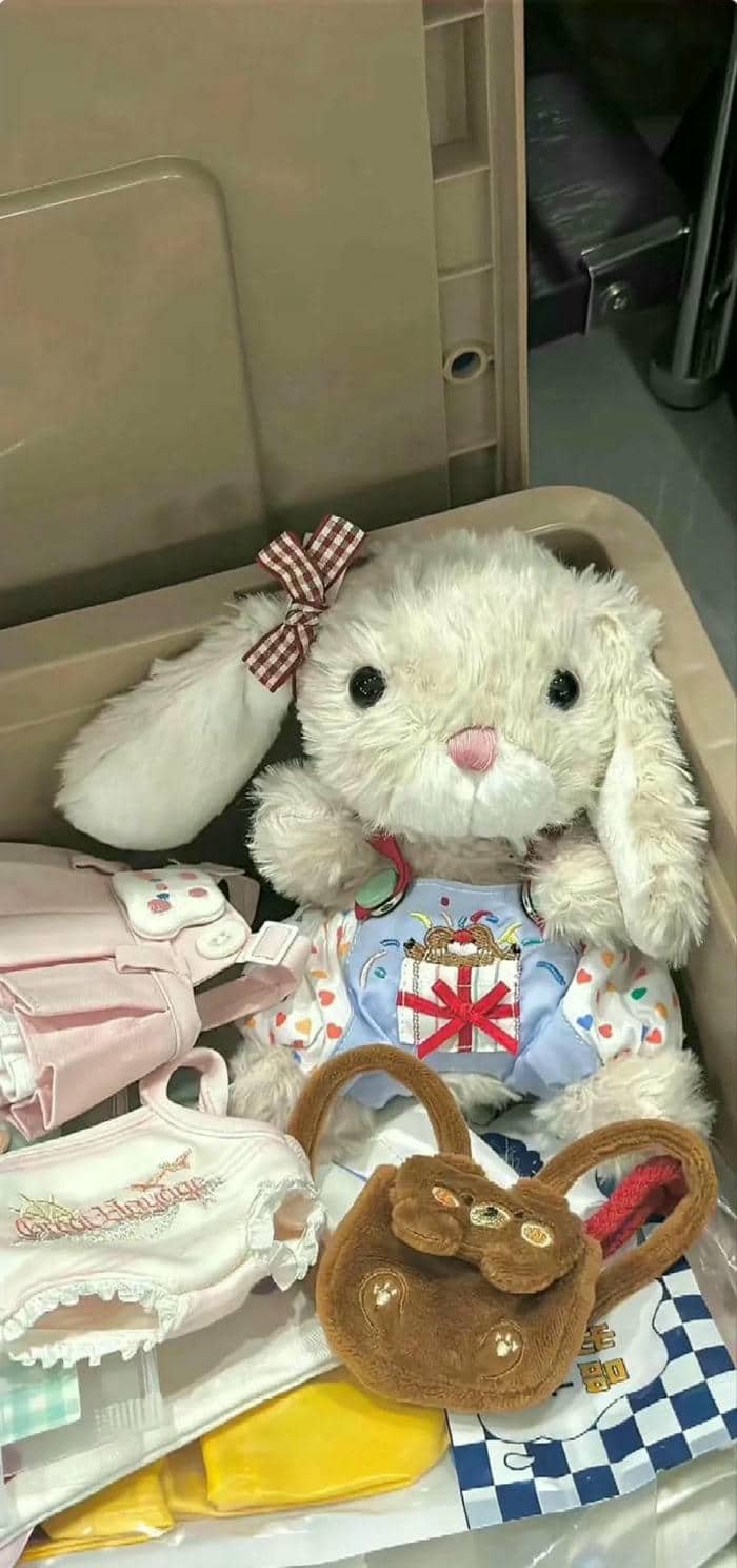 hình nền thỏ (4)