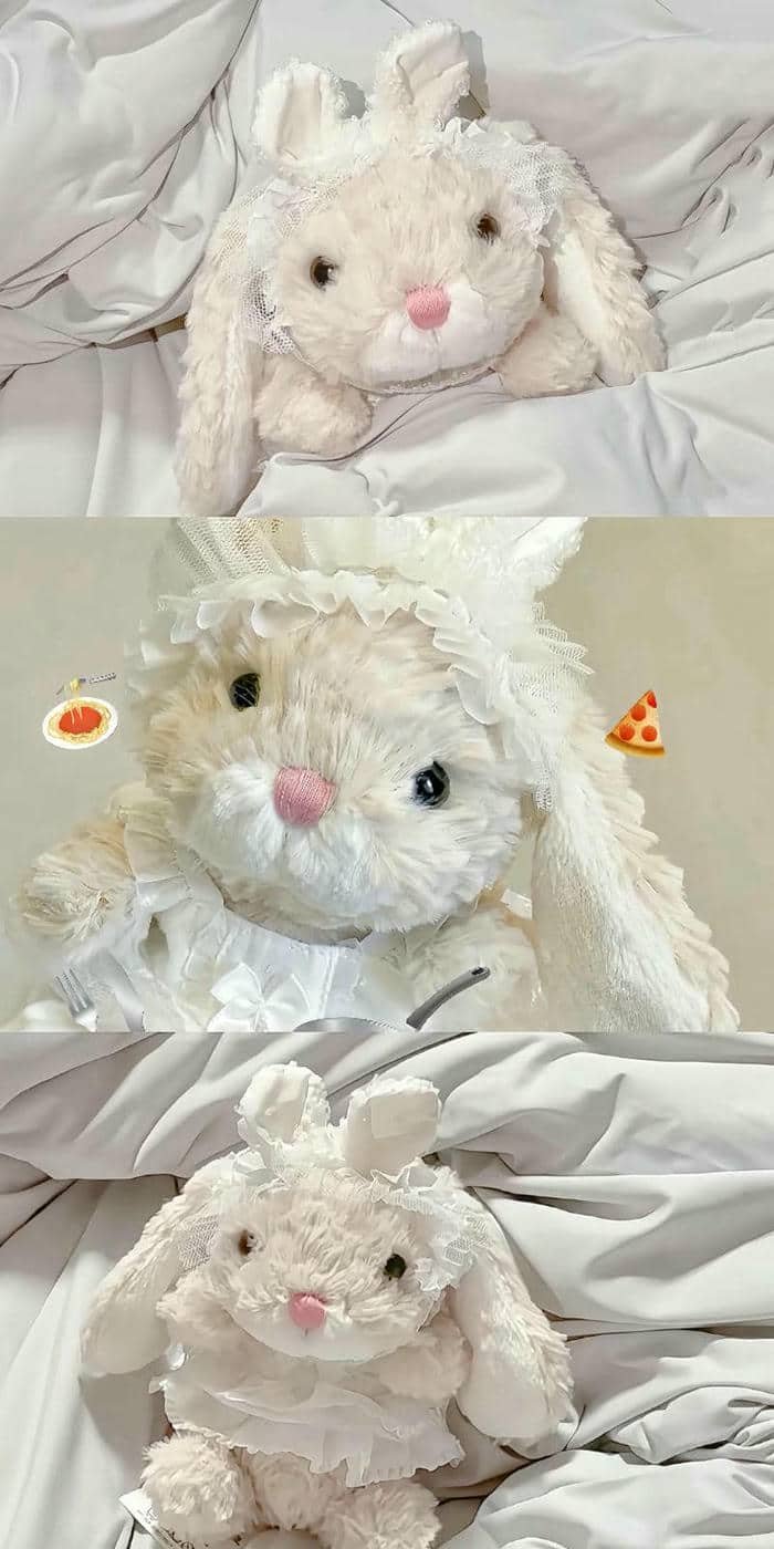 hình nền thỏ (8)