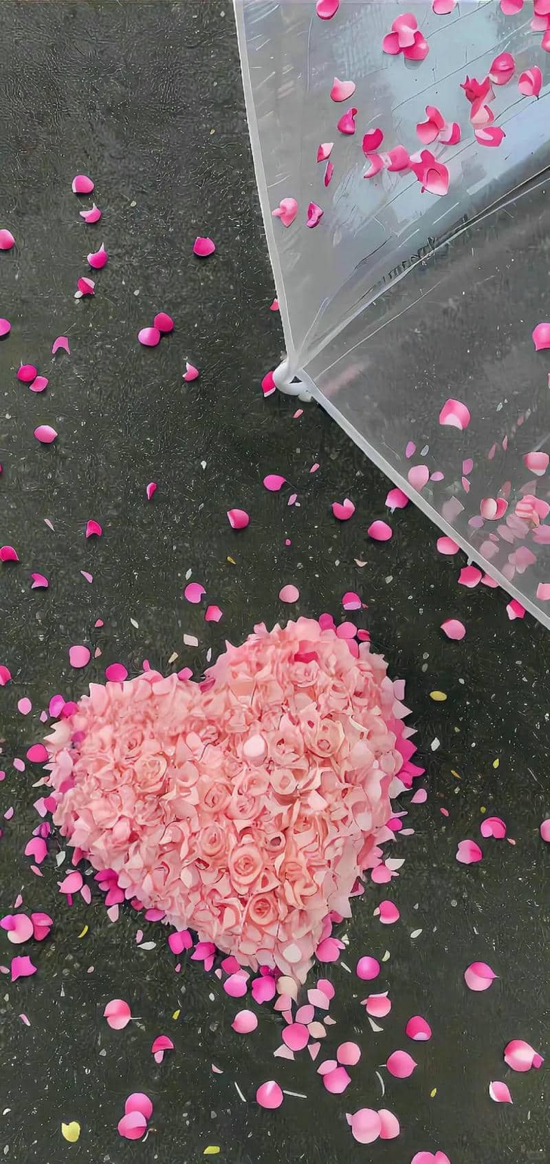 hình nền trái tim (33)