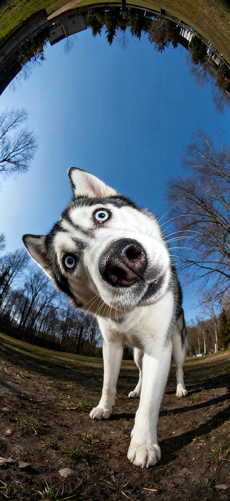 hình nền vô tri (16)