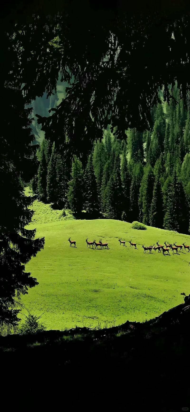 Bài viết liên quan terus