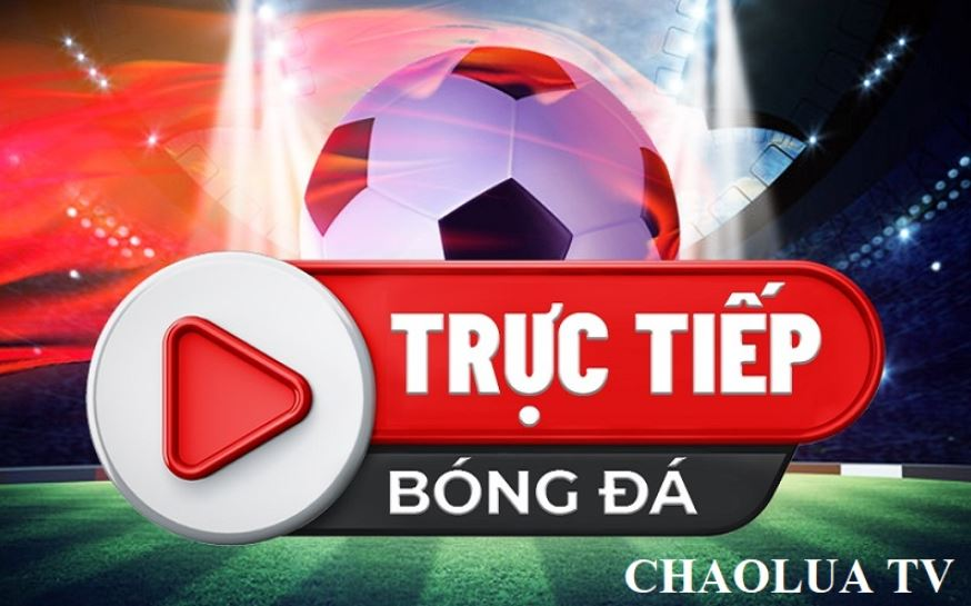 Bài viết liên quan terus Bài viết liên quan terus